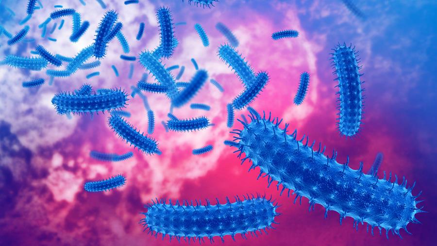 Residuen van antibiotica in voedsel kunnen resistentie van bacteriën bevorderen