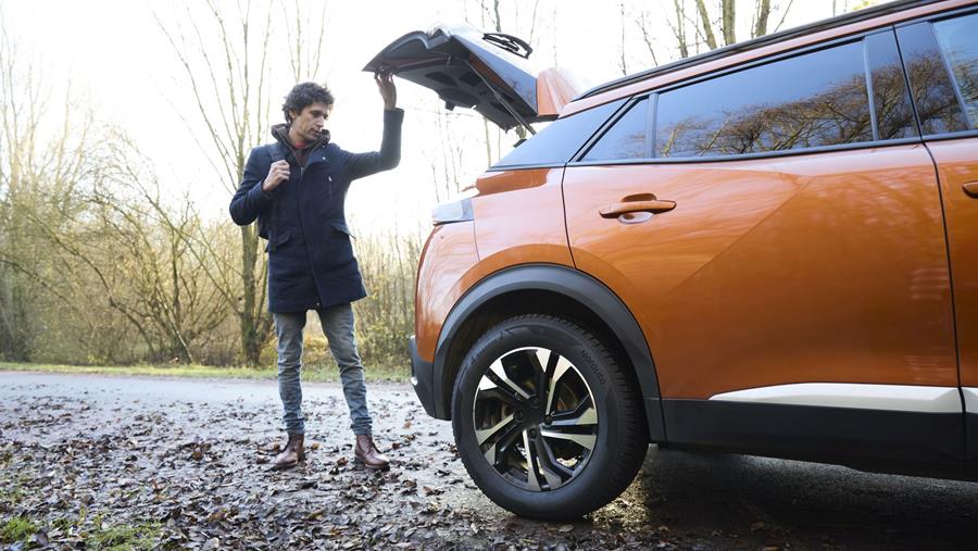 Vierseizoenenbanden rukken verder op in België