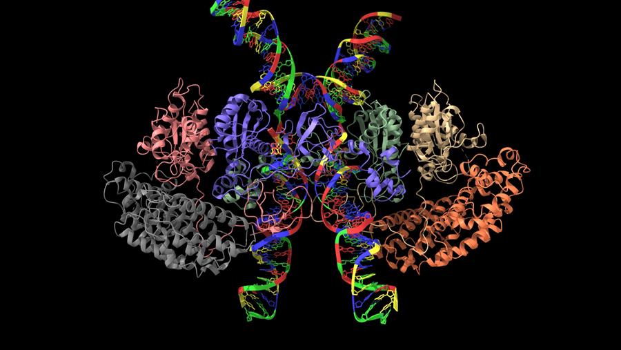 Nouvel outil prédictif pour une forme rare de leucémie (Institut Jules Bordet & ULiège)