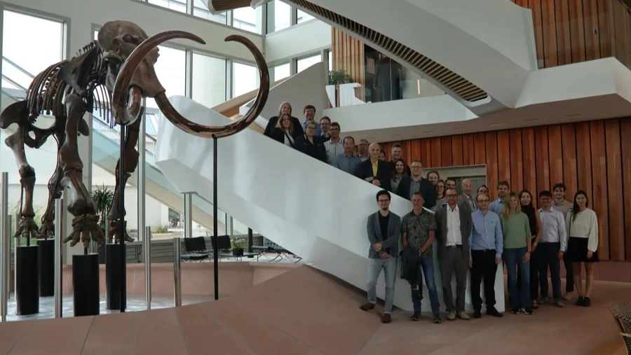 Solutions ignifuges biosourcées pour des applications de construction durable