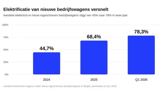 Elektrische bedrijfswagen domineert markt