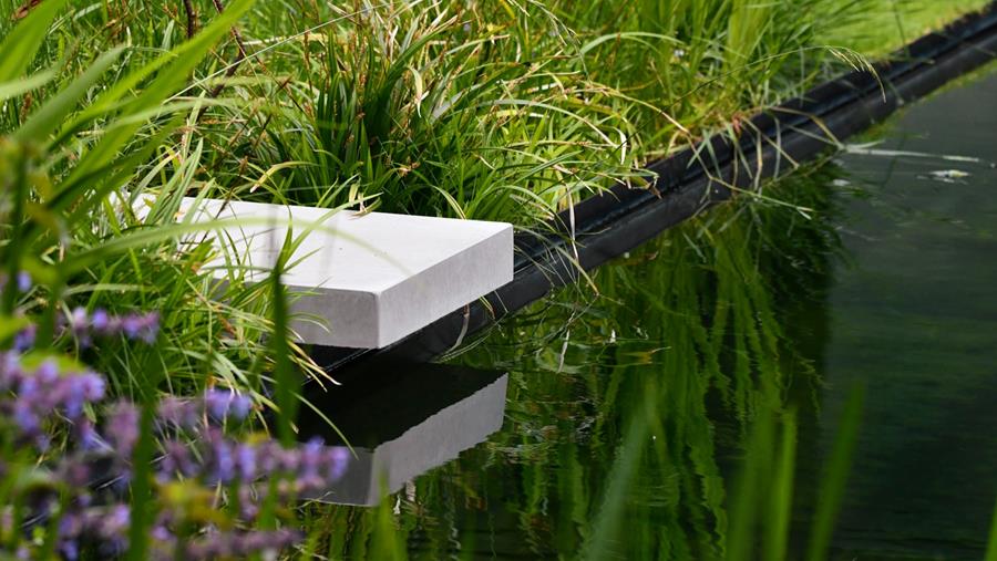 L'essor des eaux de baignade biologiques