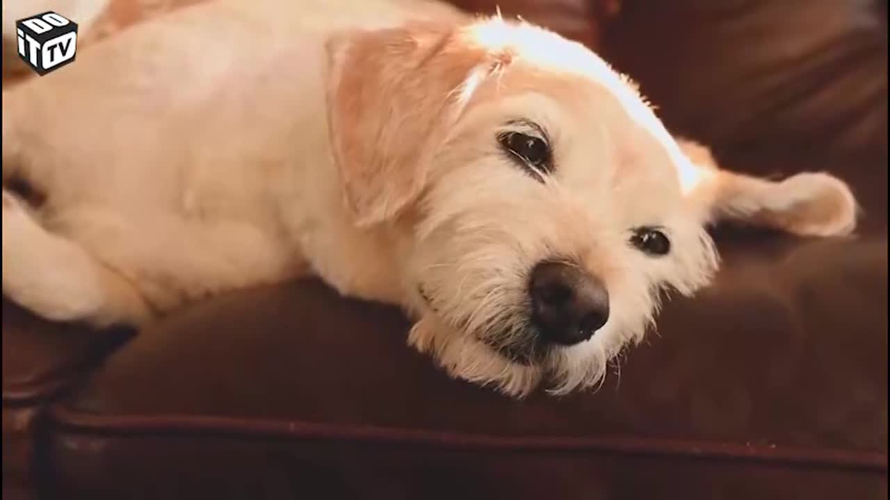 Comment installer soi-même un climatiseur?